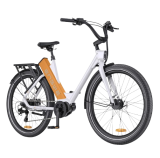 Engwe P275 ST stadsfiets Recensie – Een aantrekkelijke en krachtige stadsfiets met enkele kleine tekortkomingen.